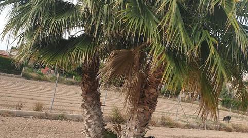 Photo 2 of Non-constructible Land for sale in Calle Conesa, Ribera de Molina - Torrealta, Murcia