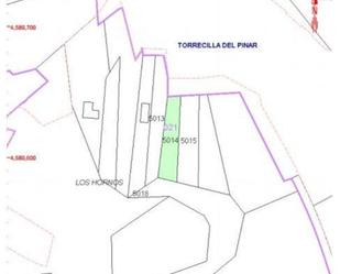 Land for sale in Torrecilla del Pinar