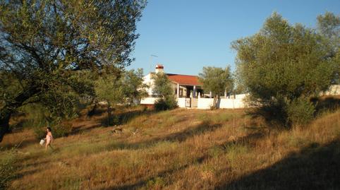 Photo 5 of House or chalet for sale in Carretera de Cáceres, Brozas, Cáceres