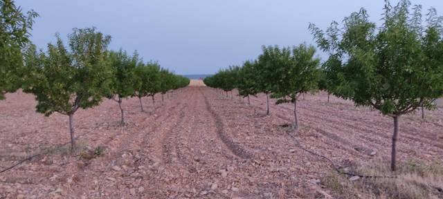 Terreno en venta en  de manzanares, terrenos manza