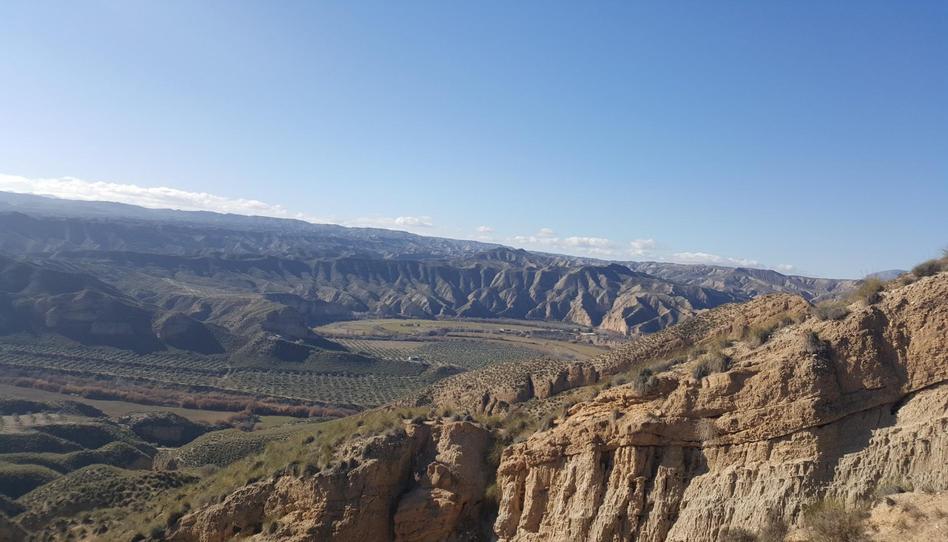 Photo 1 of Land for sale in Calle Recogidas, Fígares, Granada