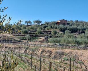 Finca rústica en venda en El Molar (Tarragona) amb Terrassa