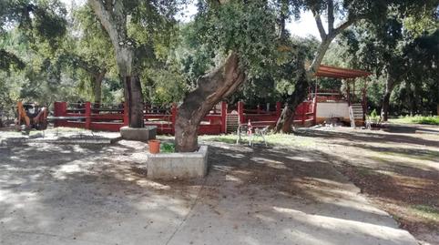 Finca rústica en venda a Calle el Salado, Santa Maria de Trassierra, Córdoba - imatge 3 Foto 3 de Finca rústica en venda a Calle el Salado, Santa Maria de Trassierra, Córdoba