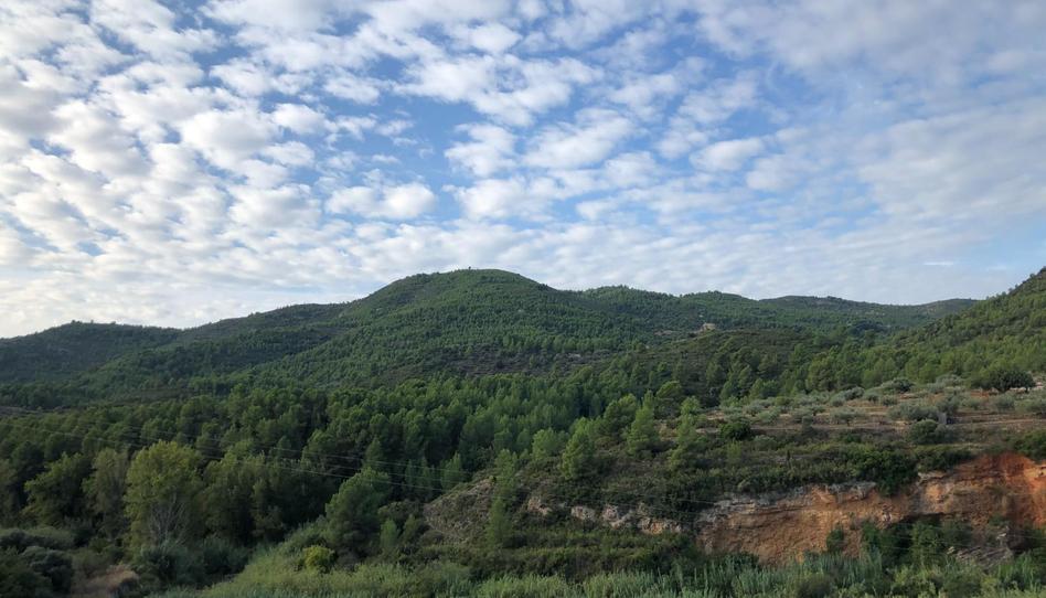 Apartament en venda a Calle Cova, Figueroles, Castellón - imatge 1 Foto 1 de Apartament en venda a Calle Cova, Figueroles, Castellón