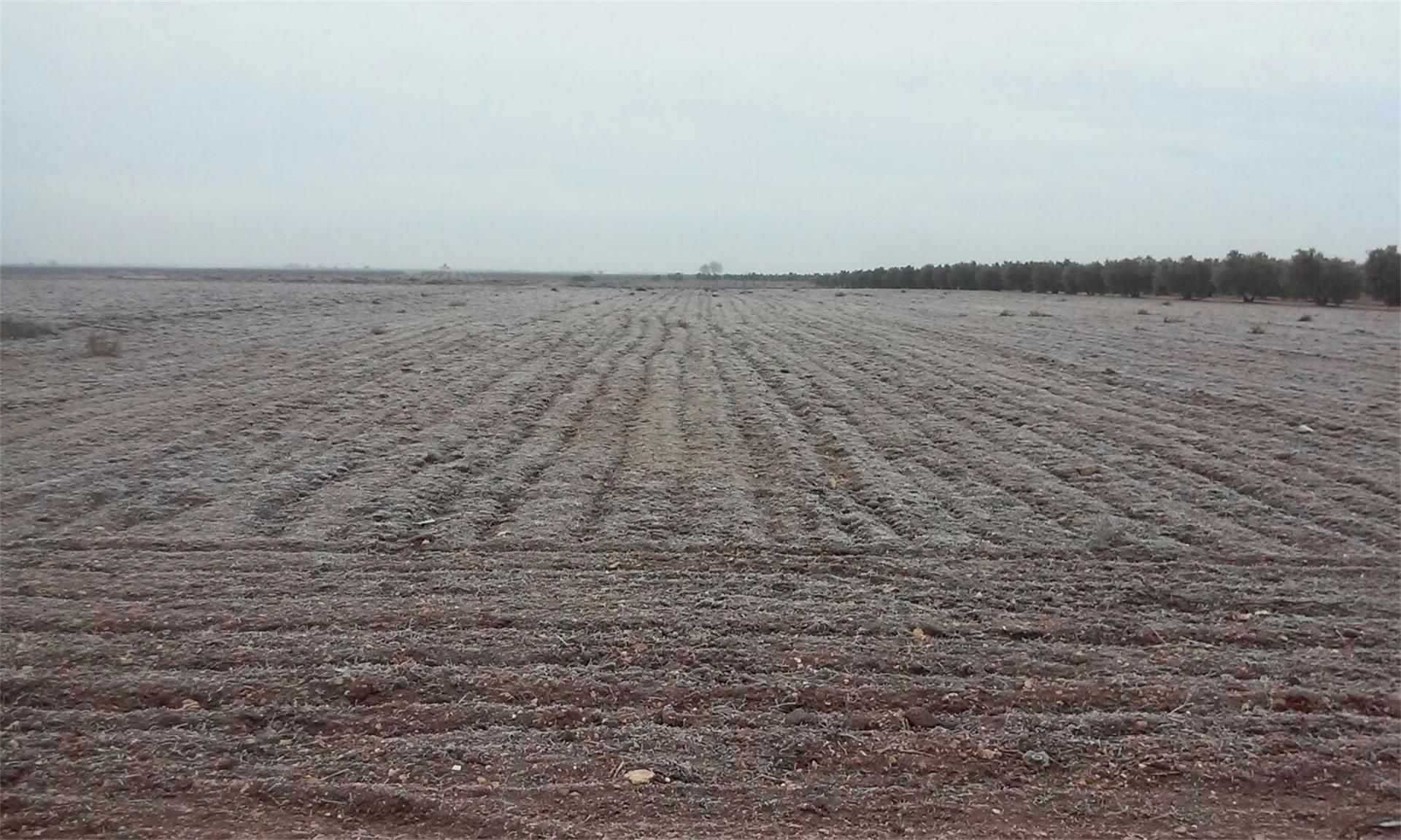 Non-constructible Land for sale in La Villa de Don Fadrique