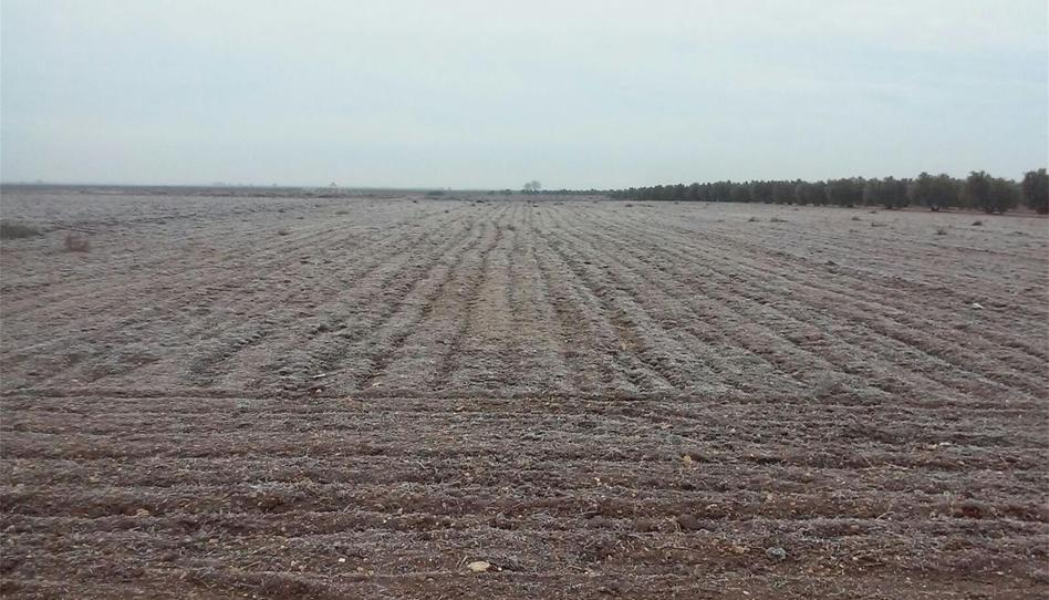 Photo 1 of Non-constructible Land for sale in Carretera Lillo, La Villa de Don Fadrique, Toledo