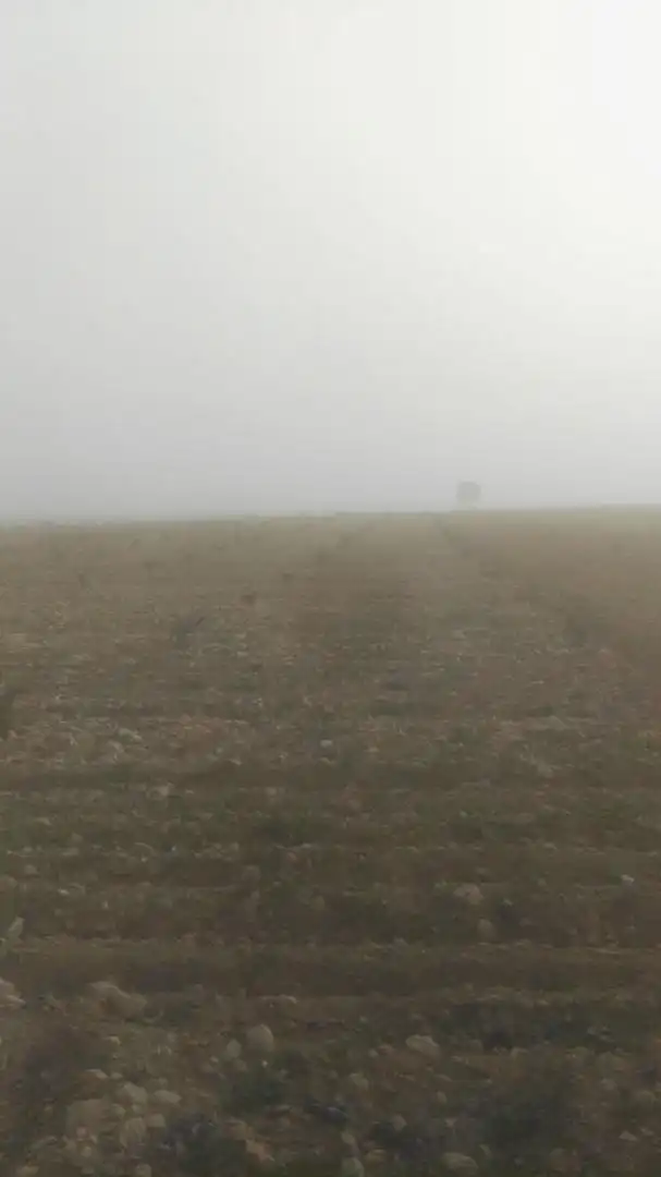 Nicht bebaubares Gelände zum Verkauf in Carretera Lillo, La Villa de Don Fadrique Nicht bebaubares Gelände zum Verkauf in La Villa de Don Fadrique