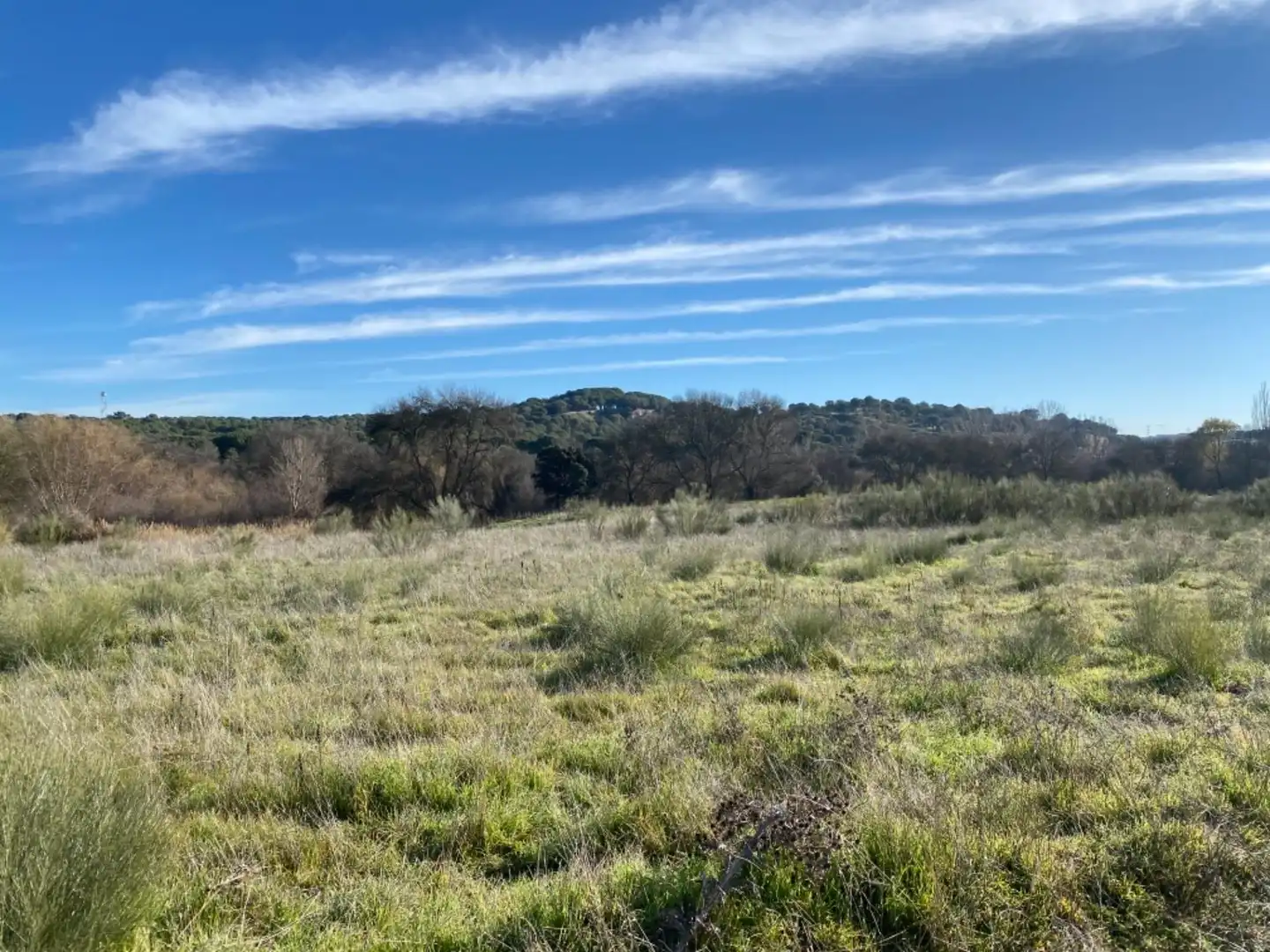 Country homes for sale in Path Camino la Zarzuela, ., Centro Country homes for sale in Path Camino la Zarzuela, ., Centro