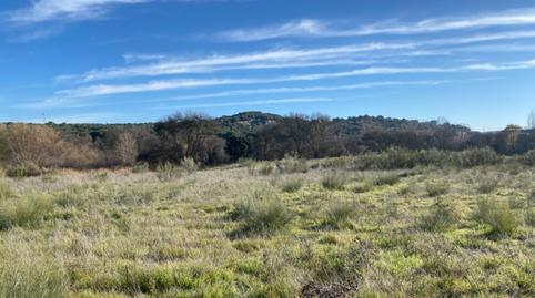 Foto 5 de Finca rústica en venda a Camí Camino la Zarzuela, ., Centro, Madrid