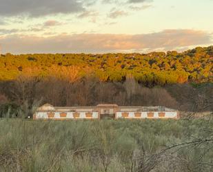 Exterior view of Country house for sale in Villaviciosa de Odón