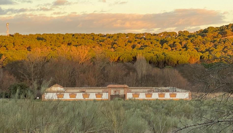 Foto 1 de Finca rústica en venda a Camí Camino la Zarzuela, ., Centro, Madrid