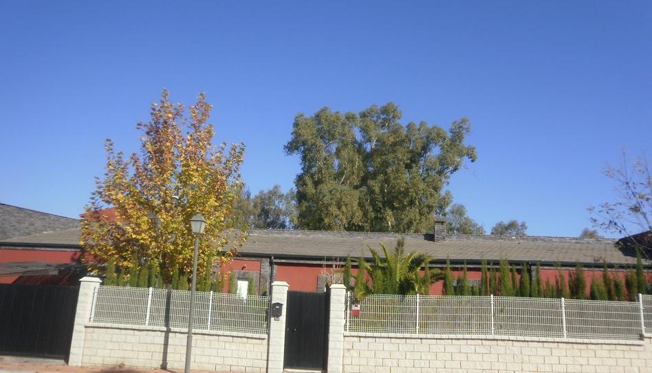 House or chalet for sale in Calle Palazuelos, San Roque - La Cruz - La Rozuela, Jaén - image 1 Photo 1 of House or chalet for sale in Calle Palazuelos, San Roque - La Cruz - La Rozuela, Jaén