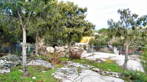 Foto 4 de Finca rústica en venda a Carretera de Ávila, San Martín de Valdeiglesias, Madrid