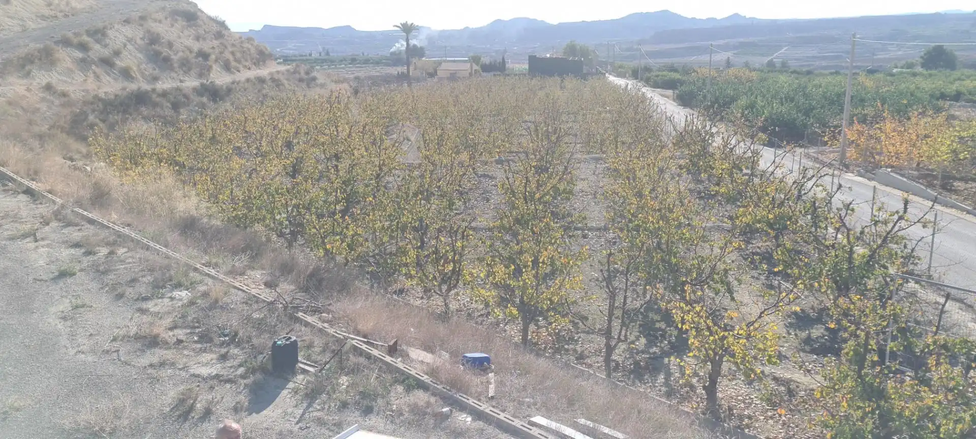 Terreno en venta en Camino de la Cañada de Cartín, Villanueva del Río Segura Terreno en venta en Villanueva del Río Segura