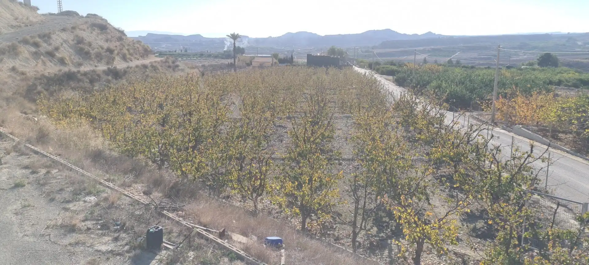 Terreno en venta en Camino de la Cañada de Cartín, Villanueva del Río Segura Terreno en venta en Villanueva del Río Segura