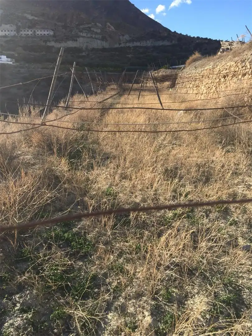 Grundstücke zum Verkauf in Huécija Außenansicht von Grundstücke zum Verkauf in Huécija