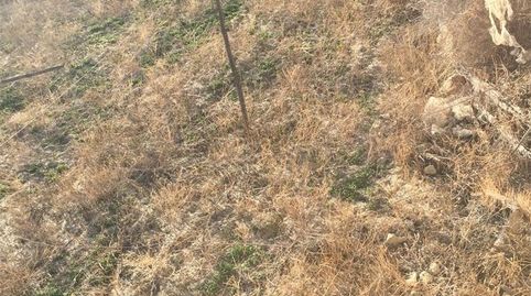 Foto 5 de Terreno en venta en Huécija, Almería
