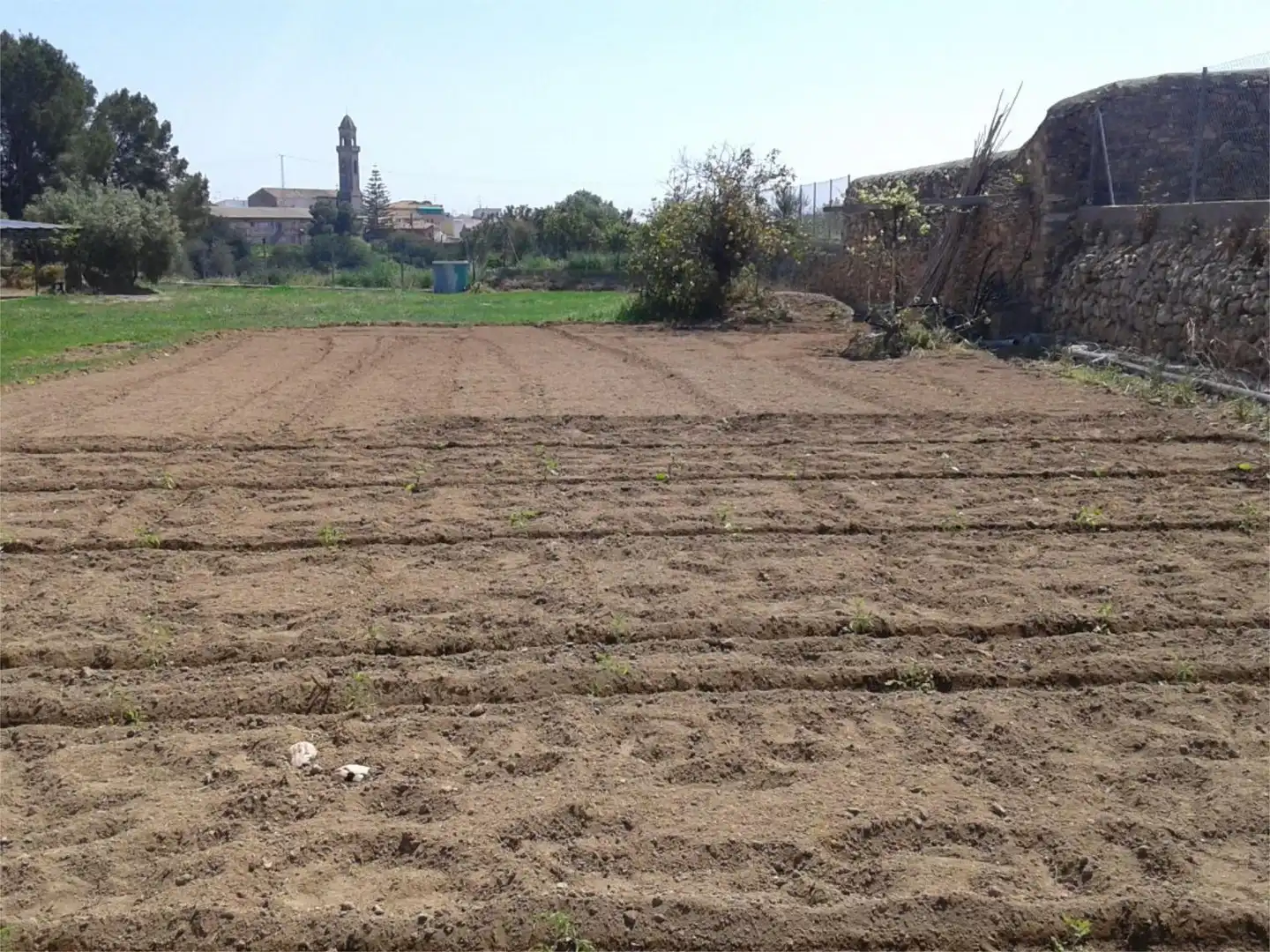 Non-constructible Land for sale in Camí de Cal Llorenç, Roda de Berà Non-constructible Land for sale in Roda de Berà