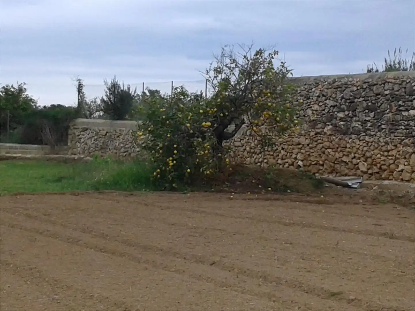 Non-constructible Land for sale in Camí de Cal Llorenç, Roda de Berà Non-constructible Land for sale in Roda de Berà