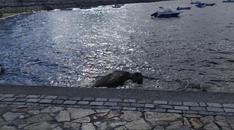 Geschaftsraum zur Miete in Rúa O Cantiño, 3, A Illa de Arousa , Pontevedra - Bild 3 Foto 3 von Geschaftsraum zur Miete in Rúa O Cantiño, 3, A Illa de Arousa , Pontevedra