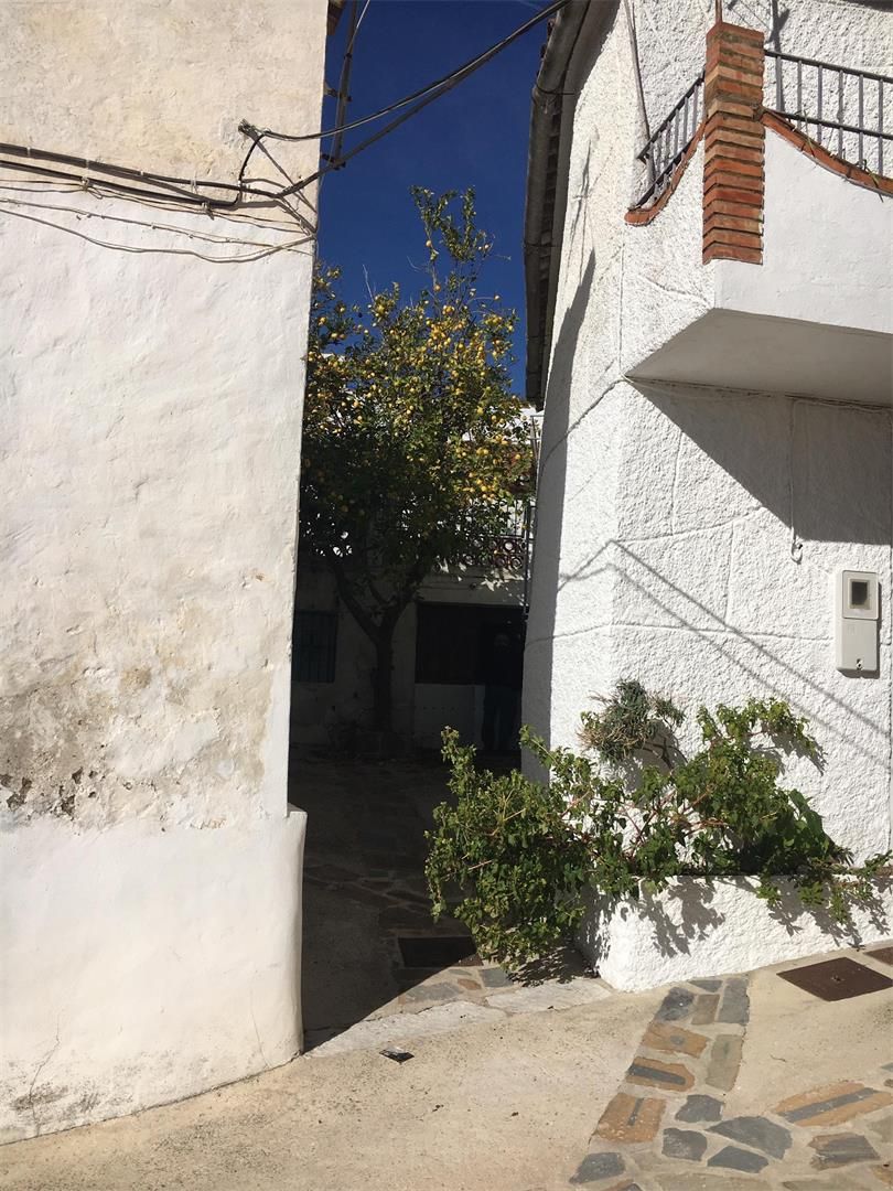 Exterior view of Land for sale in Alpandeire