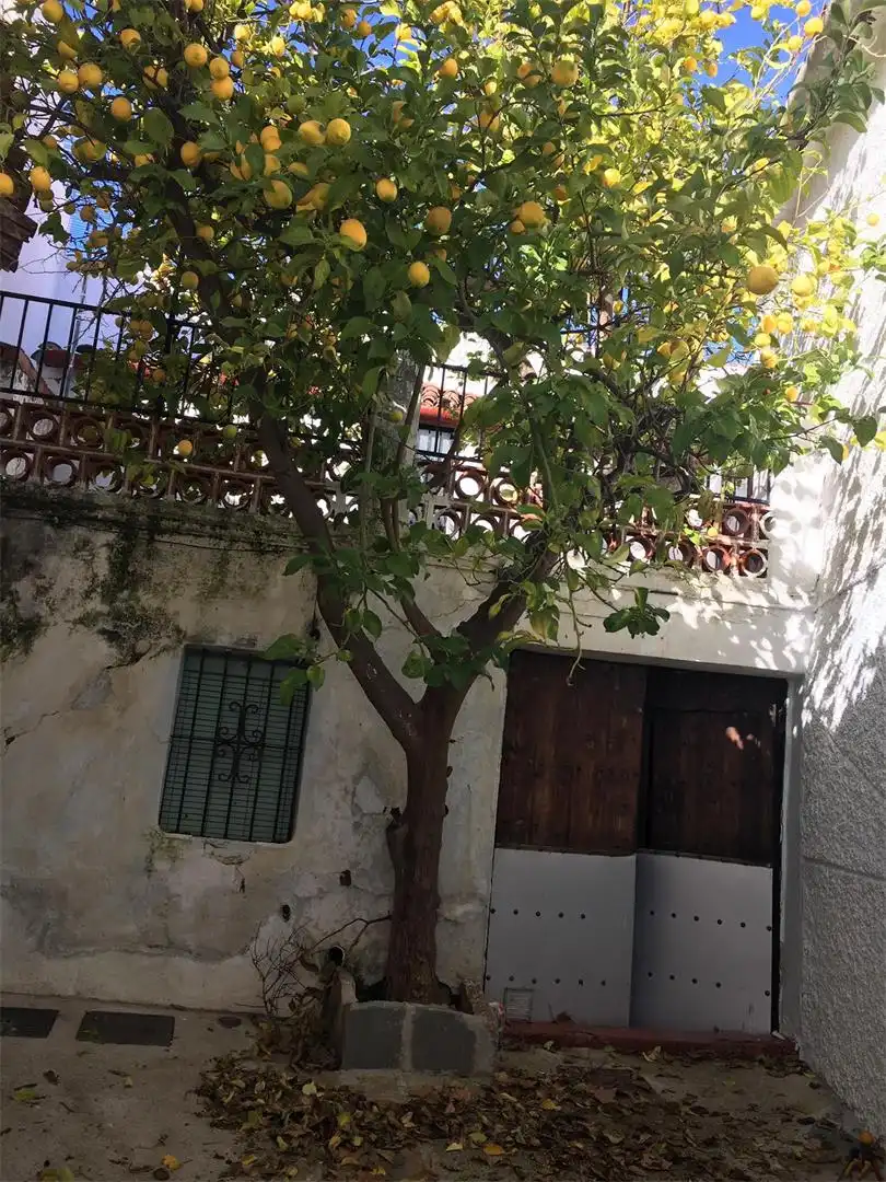 Terreno en venta en Calle Doctor Duarte, Alpandeire Vista exterior de Terreno en venta en Alpandeire