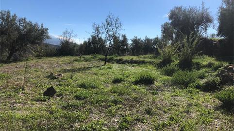 Bebaubares Gelände zum Verkauf in A-337, Nevada, Granada - Bild 4 Foto 4 von Bebaubares Gelände zum Verkauf in A-337, Nevada, Granada