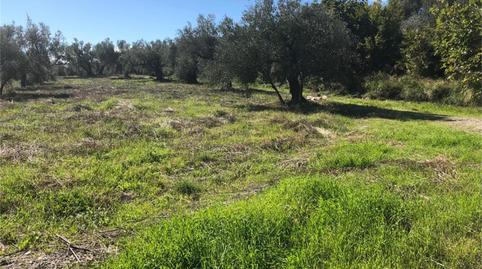 Bebaubares Gelände zum Verkauf in A-337, Nevada, Granada - Bild 2 Foto 2 von Bebaubares Gelände zum Verkauf in A-337, Nevada, Granada