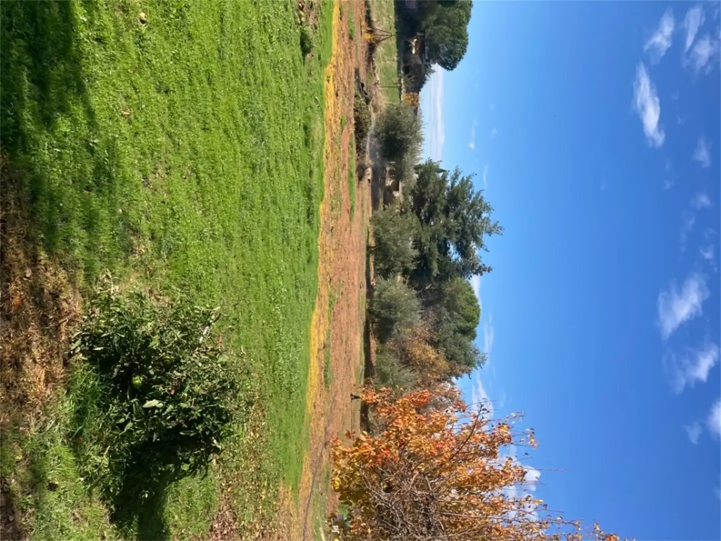 Land for sale in Robledillo de la Jara