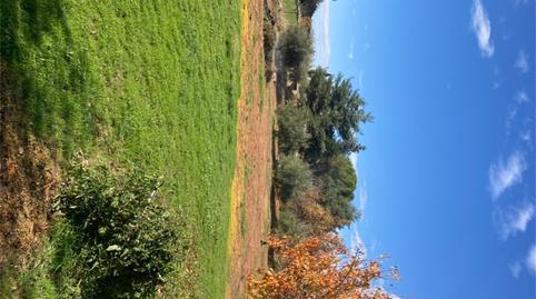 Foto 2 de Terreno en venta en Calle Frontón, Robledillo de la Jara, Madrid