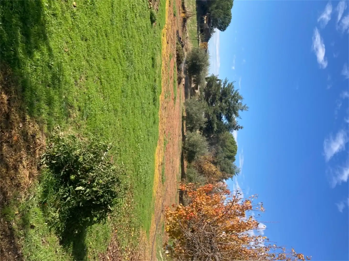 Land for sale in Robledillo de la Jara
