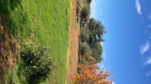 Foto 4 de Terreno en venta en Calle Frontón, Robledillo de la Jara, Madrid