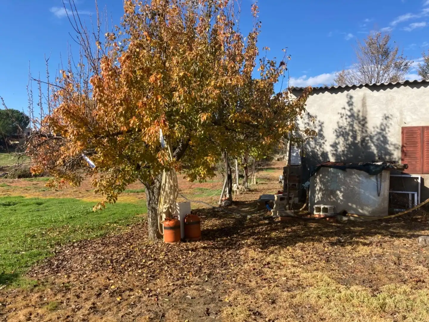 Garden of Land for sale in Robledillo de la Jara