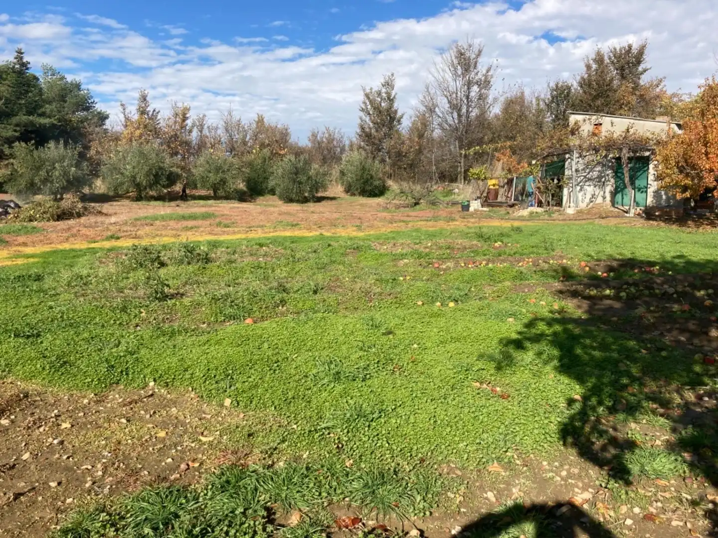 Land for sale in Robledillo de la Jara