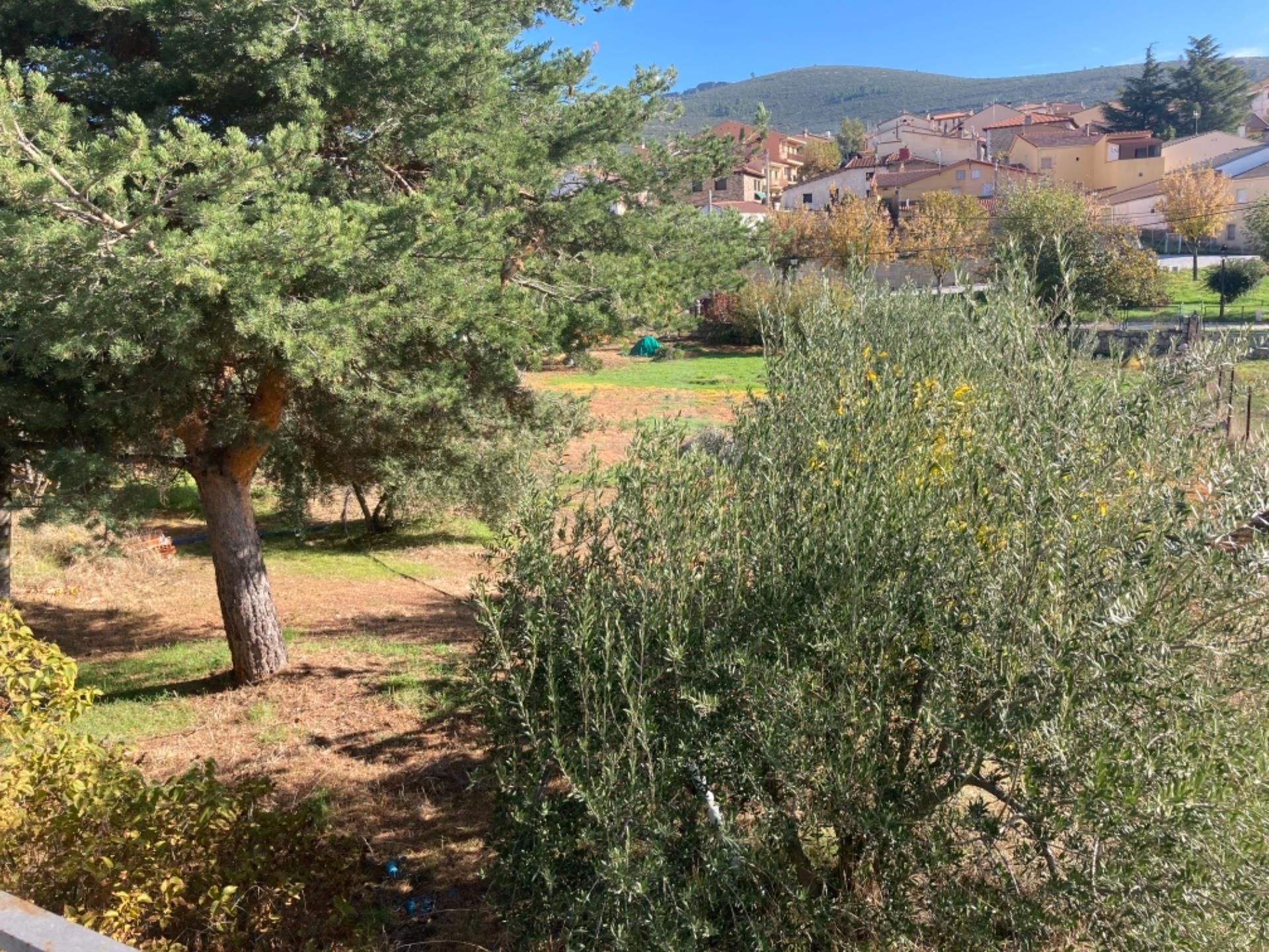 Land for sale in Robledillo de la Jara