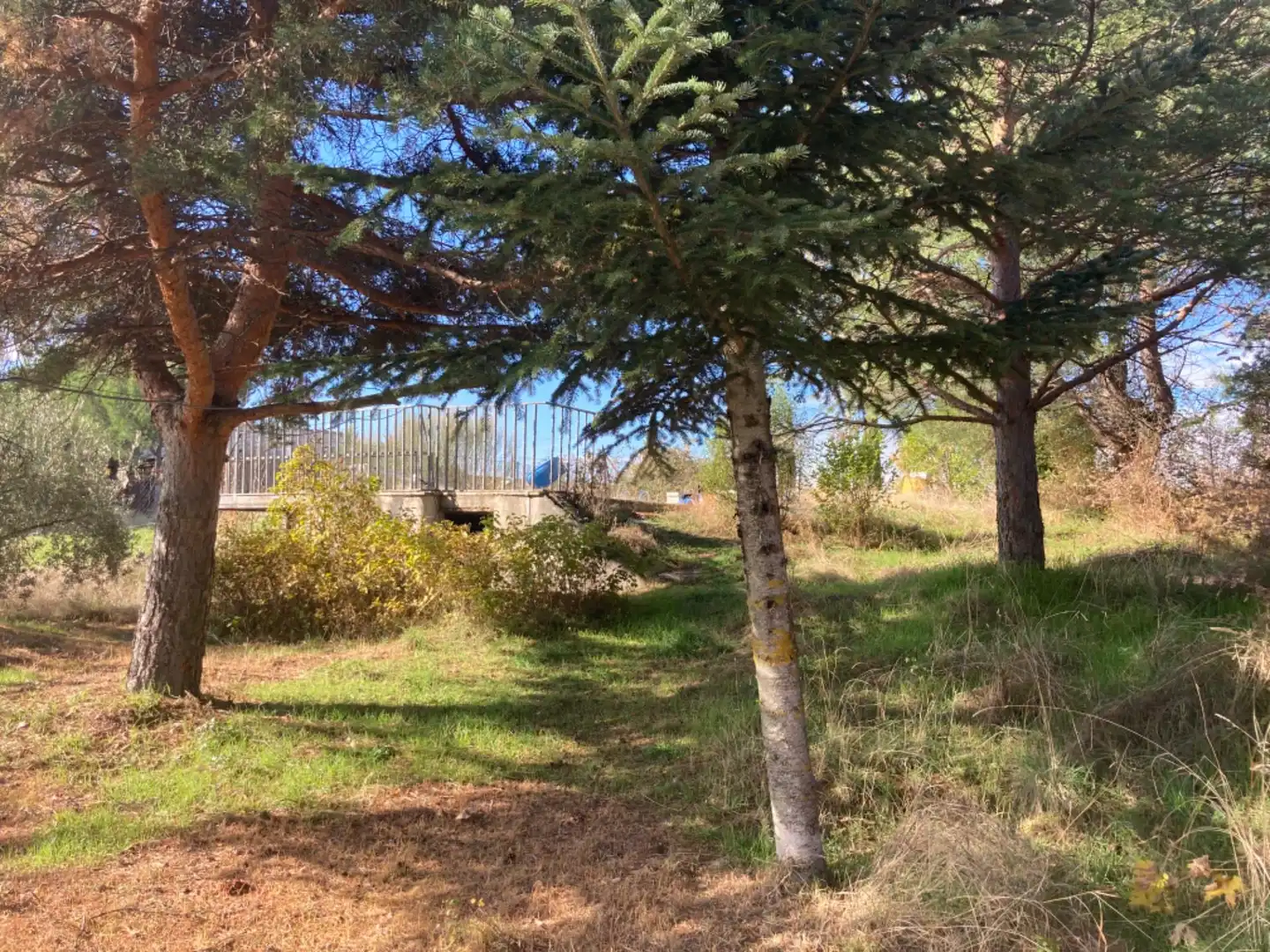 Land for sale in Robledillo de la Jara