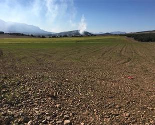 Terreny en venda en Píñar