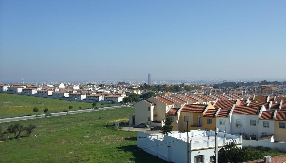 Casa adosada en venda a Avenida Reina Mercedes, Castilleja de la Cuesta, Sevilla - imatge 1 Foto 1 de Casa adosada en venda a Avenida Reina Mercedes, Castilleja de la Cuesta, Sevilla
