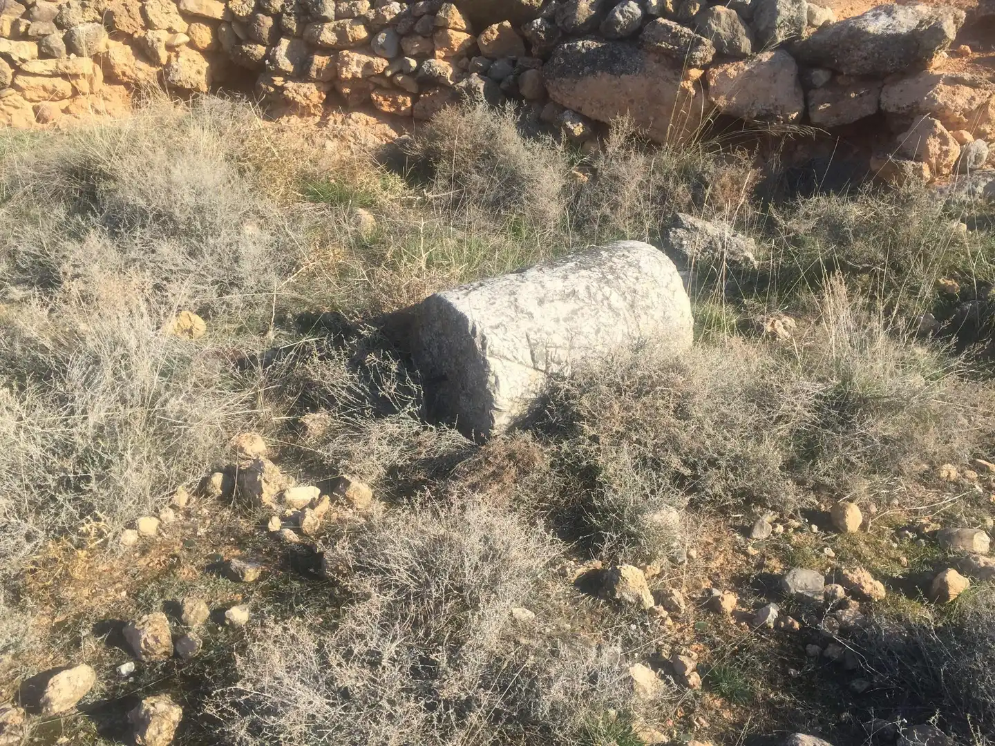 Non-constructible Land for sale in Chodes