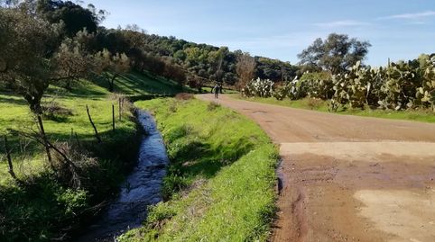 Foto 2 de Terreno en venta en Camino del Moralito, Cumbres Mayores, Huelva
