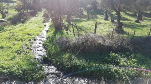 Foto 4 de Terreno en venta en Camino del Moralito, Cumbres Mayores, Huelva