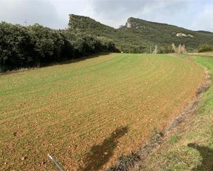 Land for sale in Valle de Yerri / Deierri