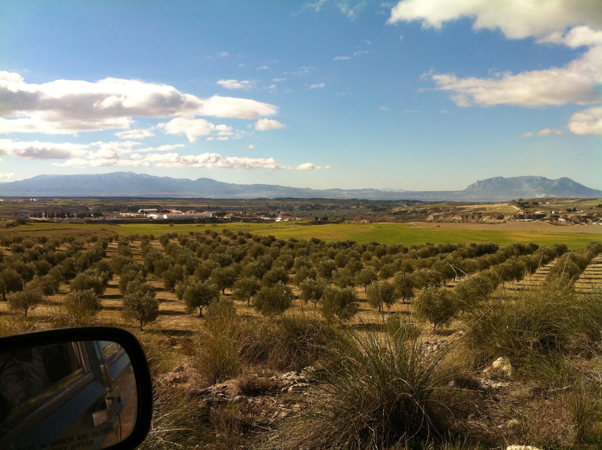 Außenansicht von Grundstücke zum Verkauf in  Granada Capital