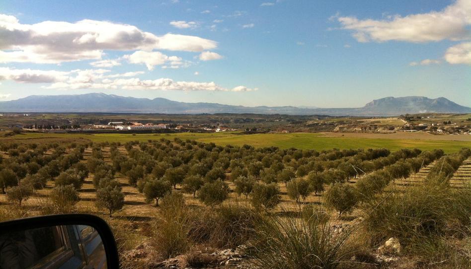 Grundstücke zum Verkauf in Calle Martínez Campos, 20, Camino de Ronda, Granada Capital - Bild 1 Foto 1 von Grundstücke zum Verkauf in Calle Martínez Campos, 20, Camino de Ronda, Granada Capital
