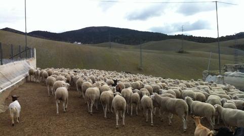 Grundstücke zum Verkauf in Calle Martínez Campos, 20, Camino de Ronda, Granada Capital - Bild 3 Foto 3 von Grundstücke zum Verkauf in Calle Martínez Campos, 20, Camino de Ronda, Granada Capital