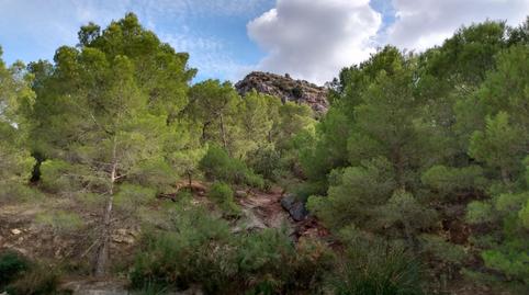 Duplex for sale in Carretera de la Parroquia, Zarcilla de Ramos, Murcia - image 5 Photo 5 of Duplex for sale in Carretera de la Parroquia, Zarcilla de Ramos, Murcia