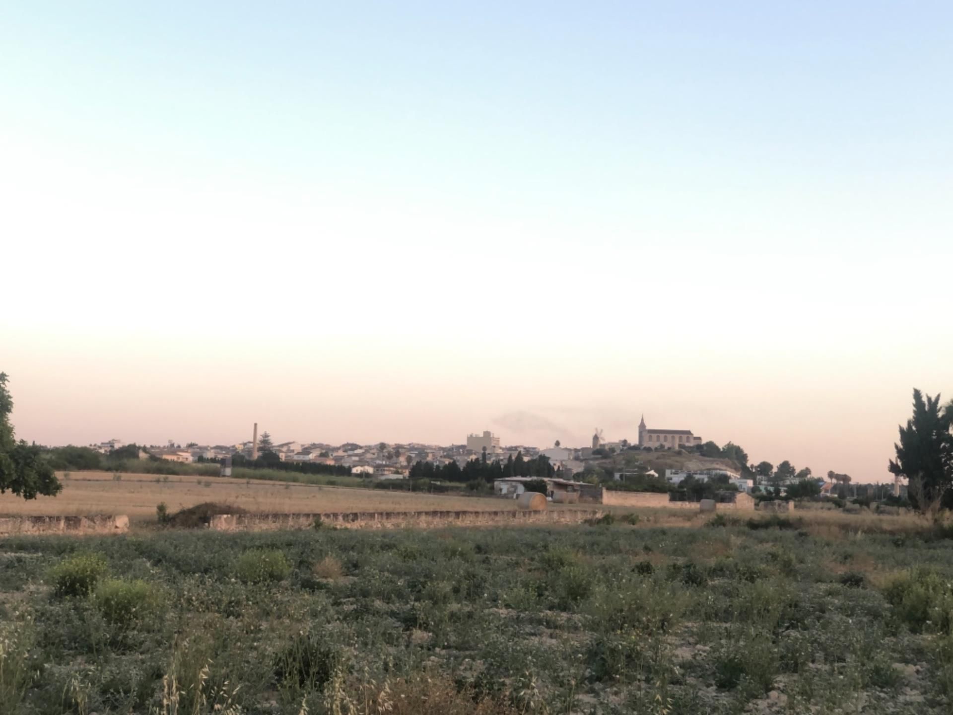 Vista exterior de Finca rústica en venda en Santa Margalida