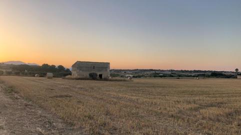 Foto 2 de Finca rústica en venda a Ma-3412, Santa Margalida Poble, Illes Balears