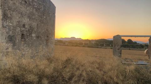 Foto 3 de Finca rústica en venda a Ma-3412, Santa Margalida Poble, Illes Balears