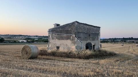 Foto 5 de Finca rústica en venda a Ma-3412, Santa Margalida Poble, Illes Balears